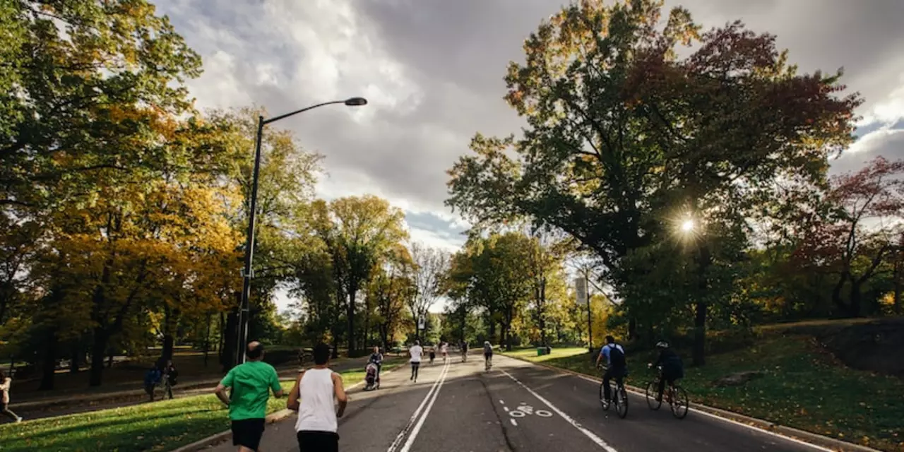 Can a person riding a bike beat a horse in a race?